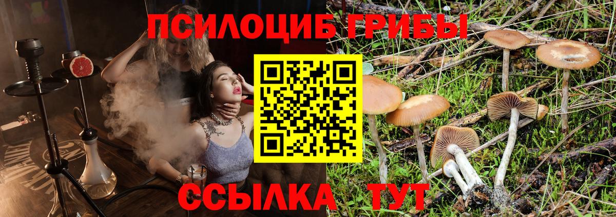 Псилоцибиновые грибы GOLDEN TEACHER  Вход с VPN  Славянск-на-Кубани 